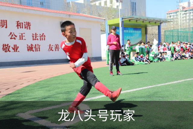 龙八头号玩家公司简介